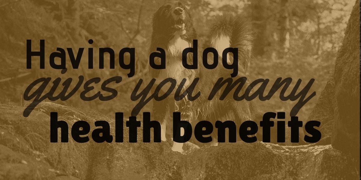 Having a dog gives you many health benefits